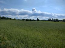 Działka rolno-budowlana Liniewko Kościerskie Liniewko Kaszubskie. Zdjęcie 2