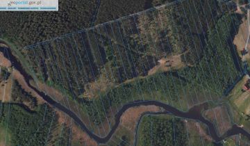 Działka leśna Zelwa Kiecie
