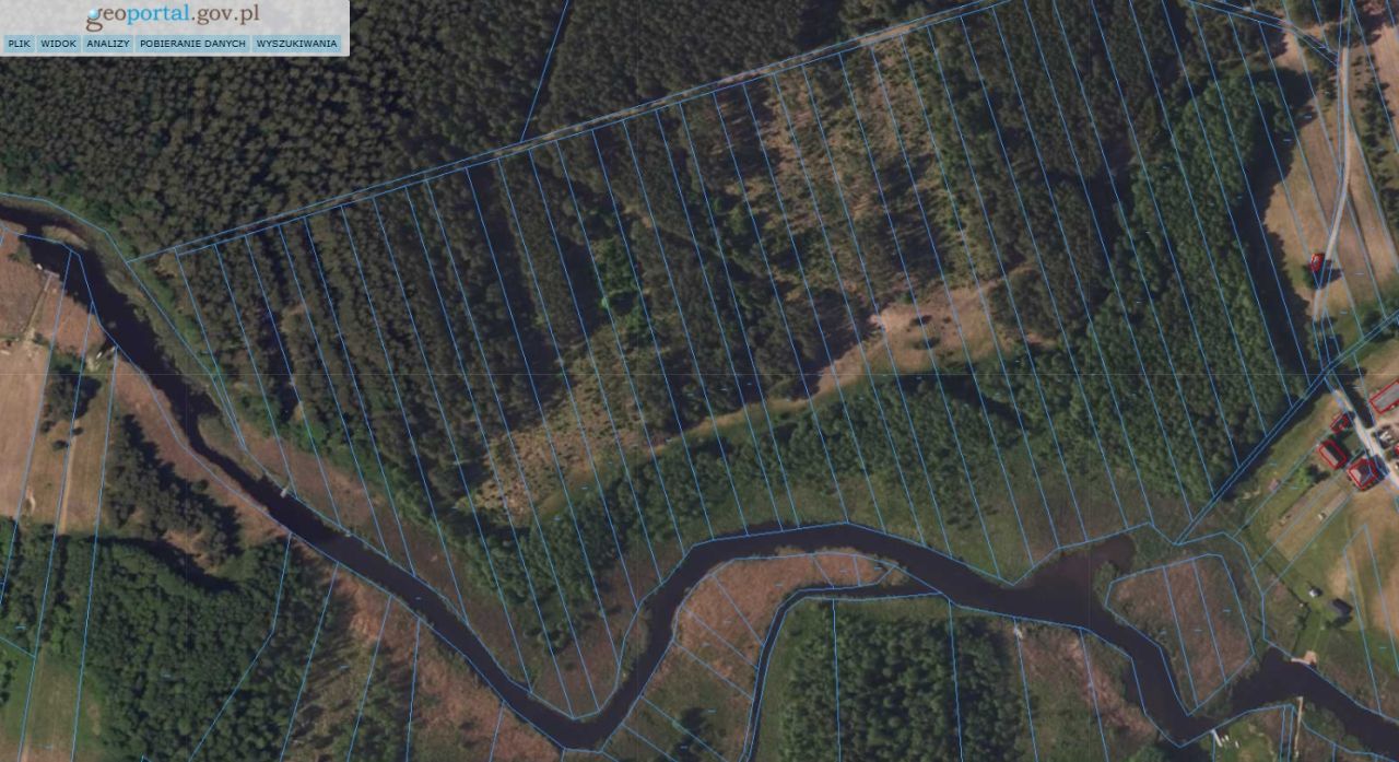 Działka leśna Zelwa Kiecie. Zdjęcie 2