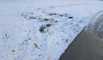 Działka budowlana Powidz Ługi, ługi