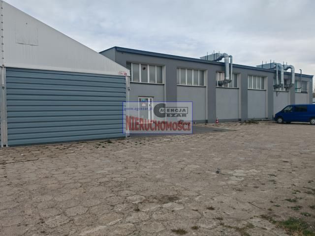 Lokal Mińsk Mazowiecki. Zdjęcie 5