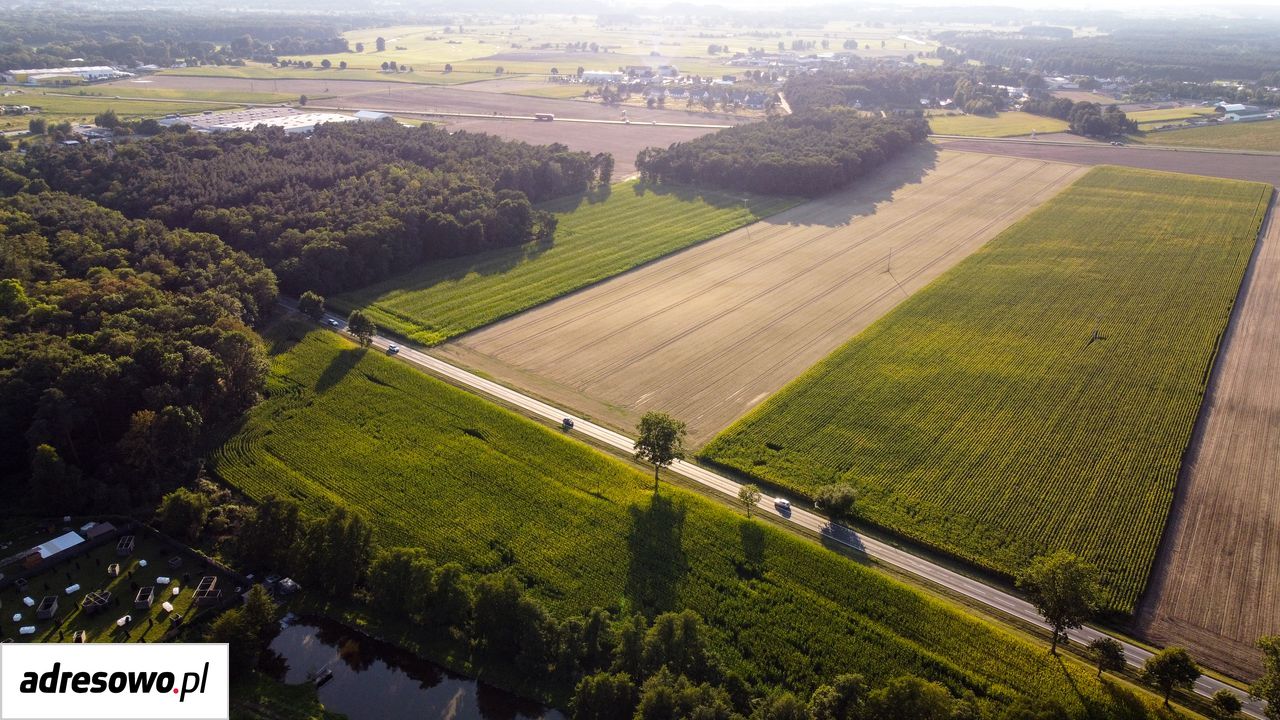 Działka budowlana Zbrudzewo. Zdjęcie 1
