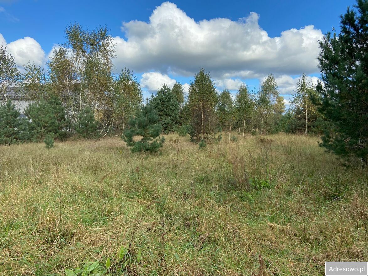 Działka inwestycyjna Bożepole Małe. Zdjęcie 4