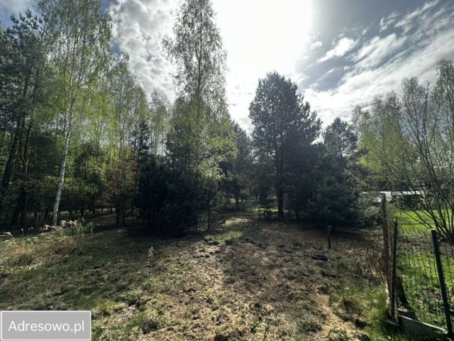 Działka rekreacyjna Borówek. Zdjęcie 1