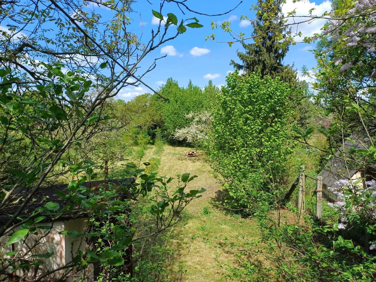 Działka rod Wrocław Krzyki, ul. Gazowa. Zdjęcie 2