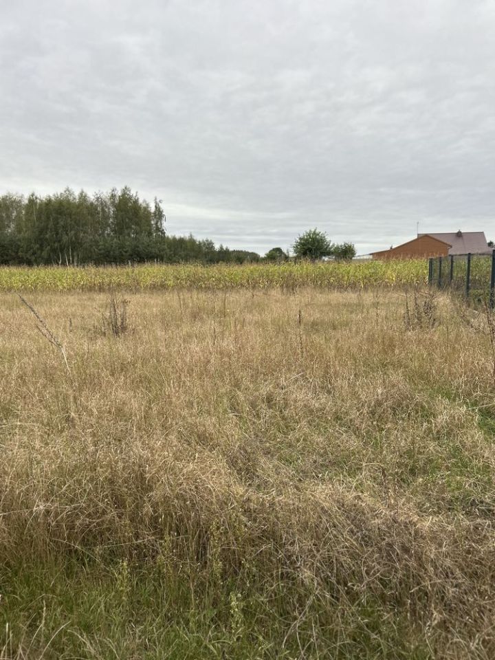 Działka budowlana Zofibór. Zdjęcie 5