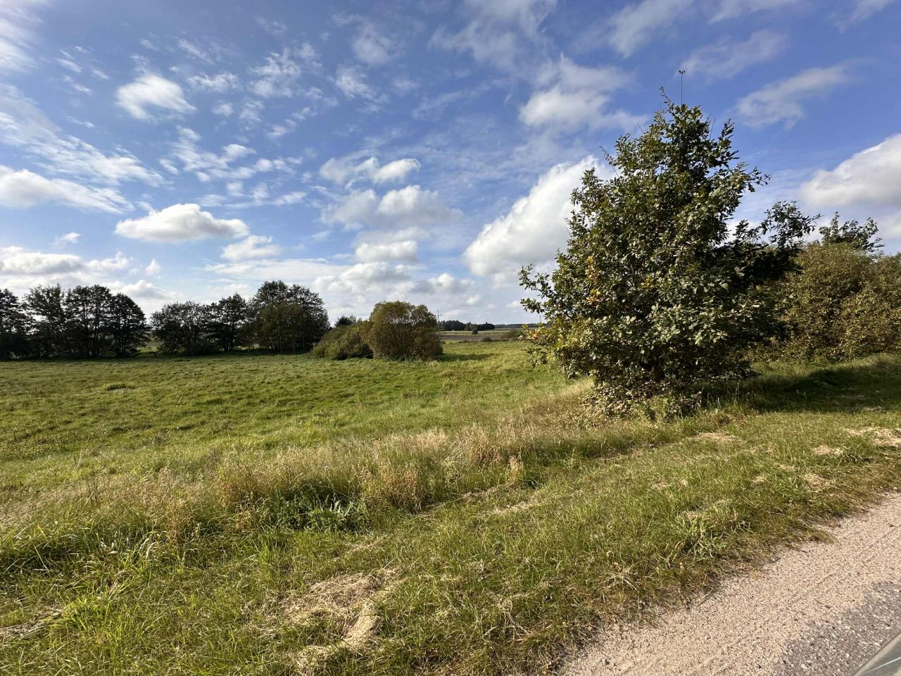 Działka siedliskowa Frednowy. Zdjęcie 4