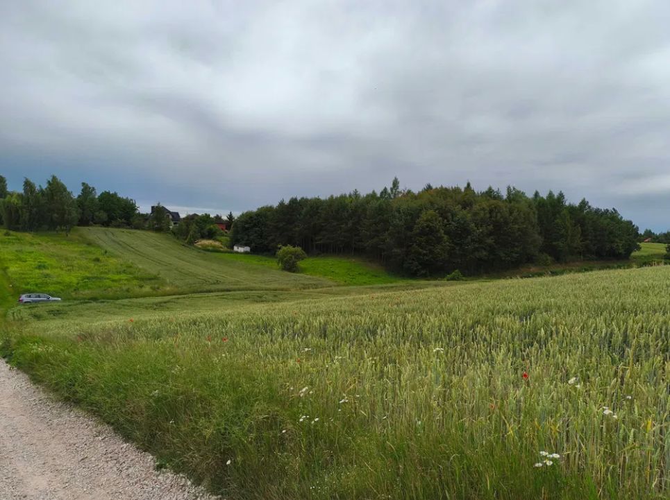 Działka budowlana Jakubowice Konińskie-Kolonia, ul. Kalinowa. Zdjęcie 2