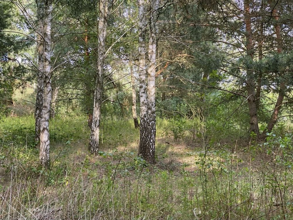 Działka budowlana Uwieliny, ul. Spokojna. Zdjęcie 4