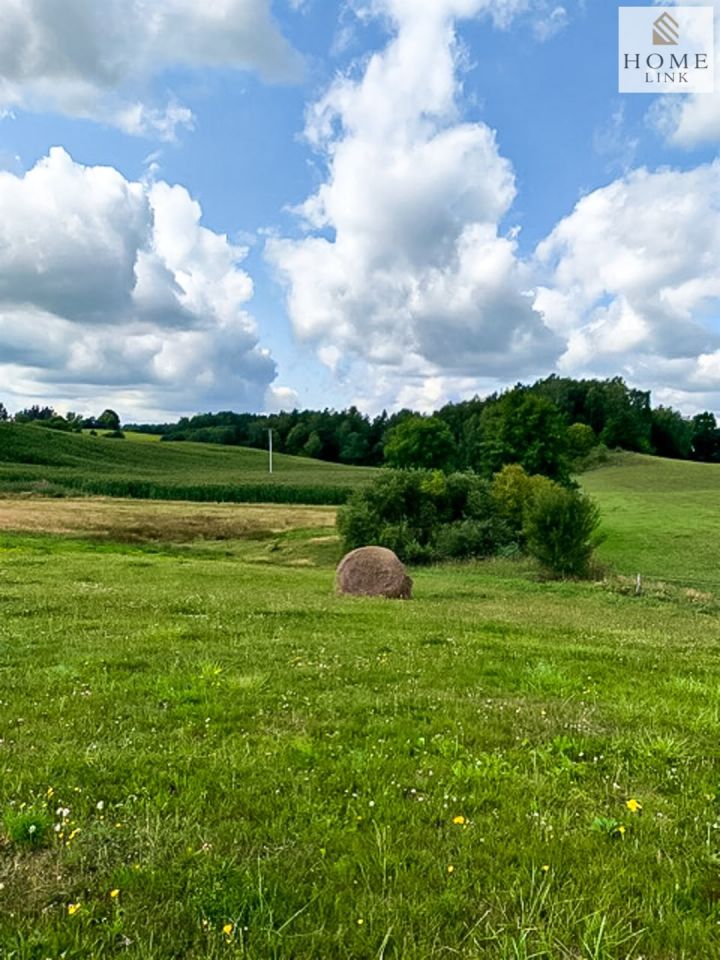 Działka rolna Jarandowo. Zdjęcie 16