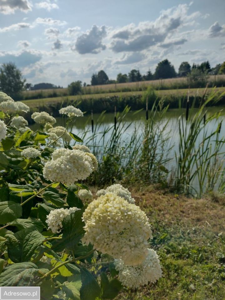 dom wolnostojący, 2 pokoje Siemianowo. Zdjęcie 10