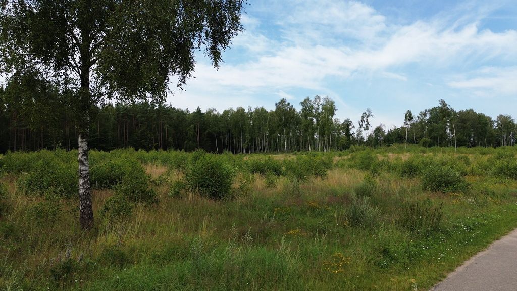 Działka budowlana Dąbrowica. Zdjęcie 25