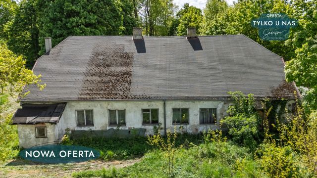 Lokal Kalinowa. Zdjęcie 3