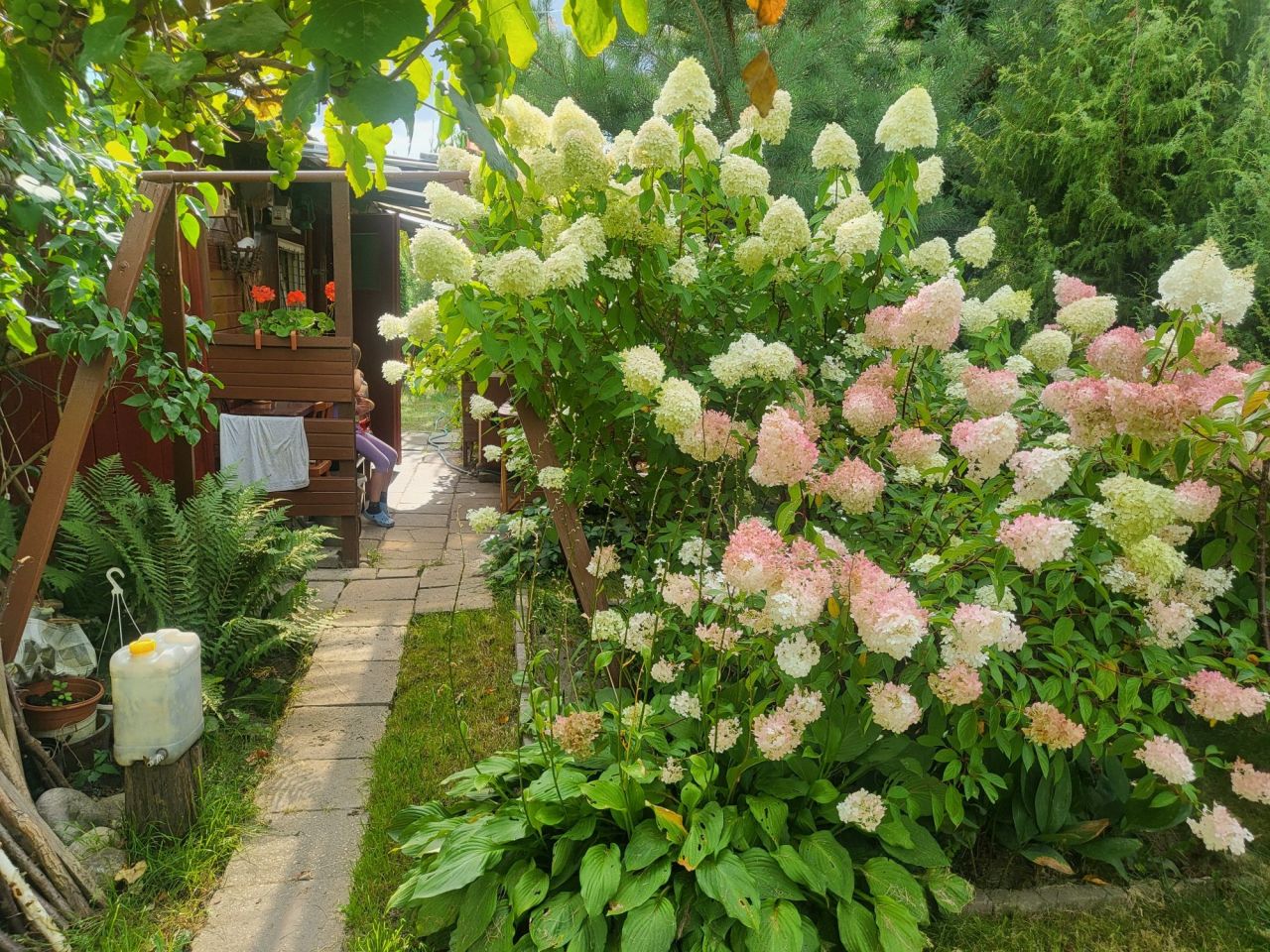 Działka rod Lublin Dziesiąta. Zdjęcie 7