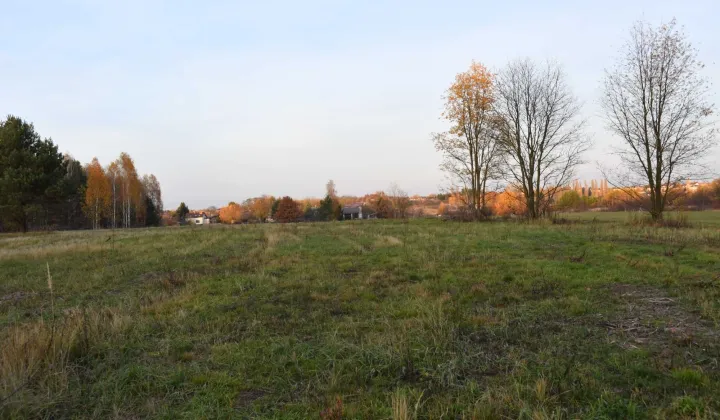 Działka budowlana Szydłowiec, ul. Lipowa