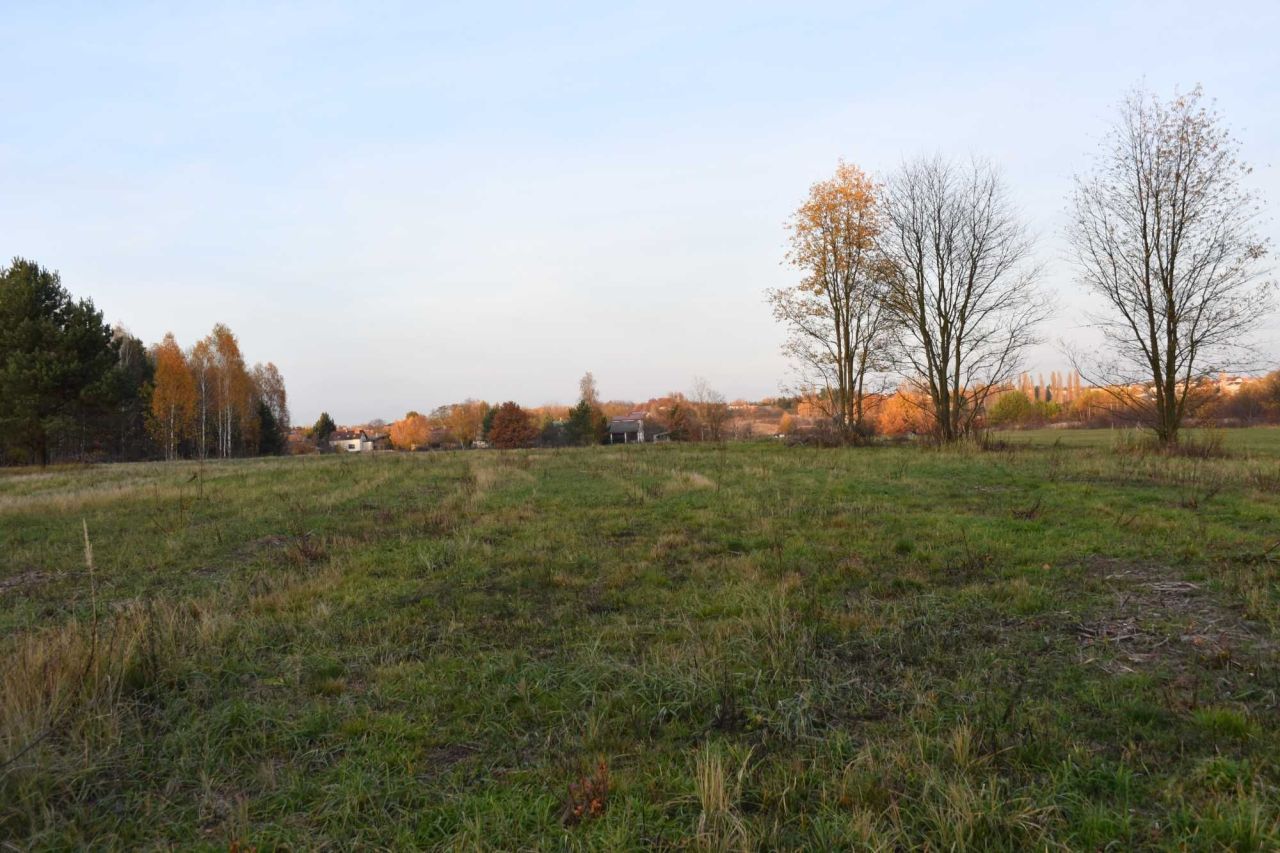 Działka budowlana Szydłowiec, ul. Lipowa