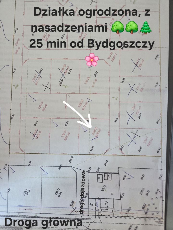 Działka budowlana Kania. Zdjęcie 3