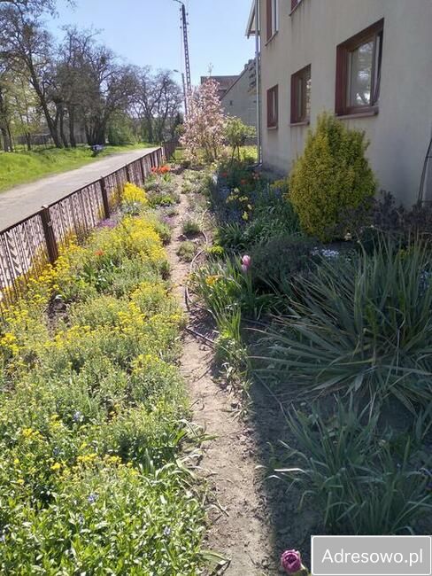 dom wolnostojący, 5 pokoi Zbrudzewo, ul. J. Sławińskiego. Zdjęcie 3