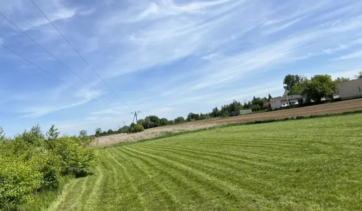 Działka rolna Cudów