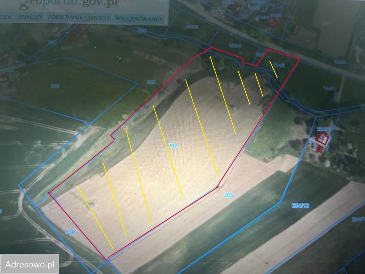 Działka rolno-budowlana Szalejów Górny. Zdjęcie 2