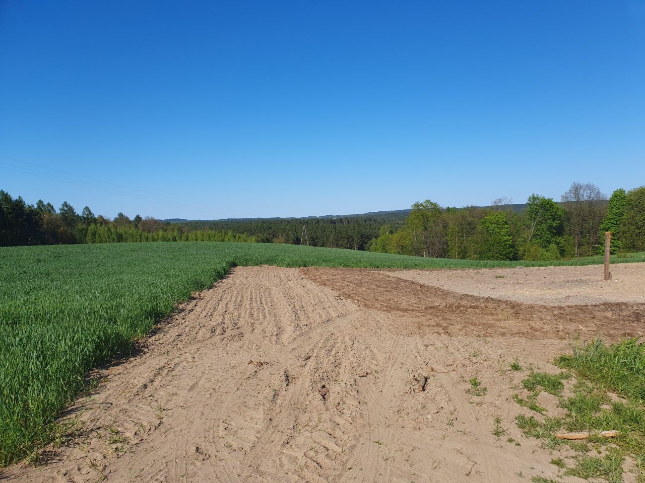 Działka rolno-budowlana Zaborowo. Zdjęcie 3