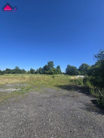 Lokal Strzelno Klasztorne. Zdjęcie 5