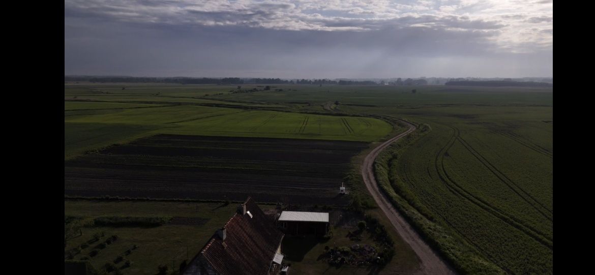 bliźniak Budzewo. Zdjęcie 6