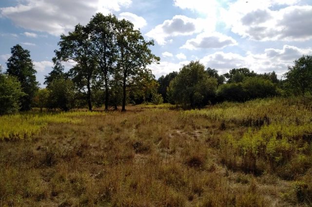 Działka budowlana Bielino, ul. Nadrzeczna. Zdjęcie 1