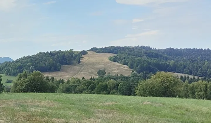 Działka rolna Królik Wołoski