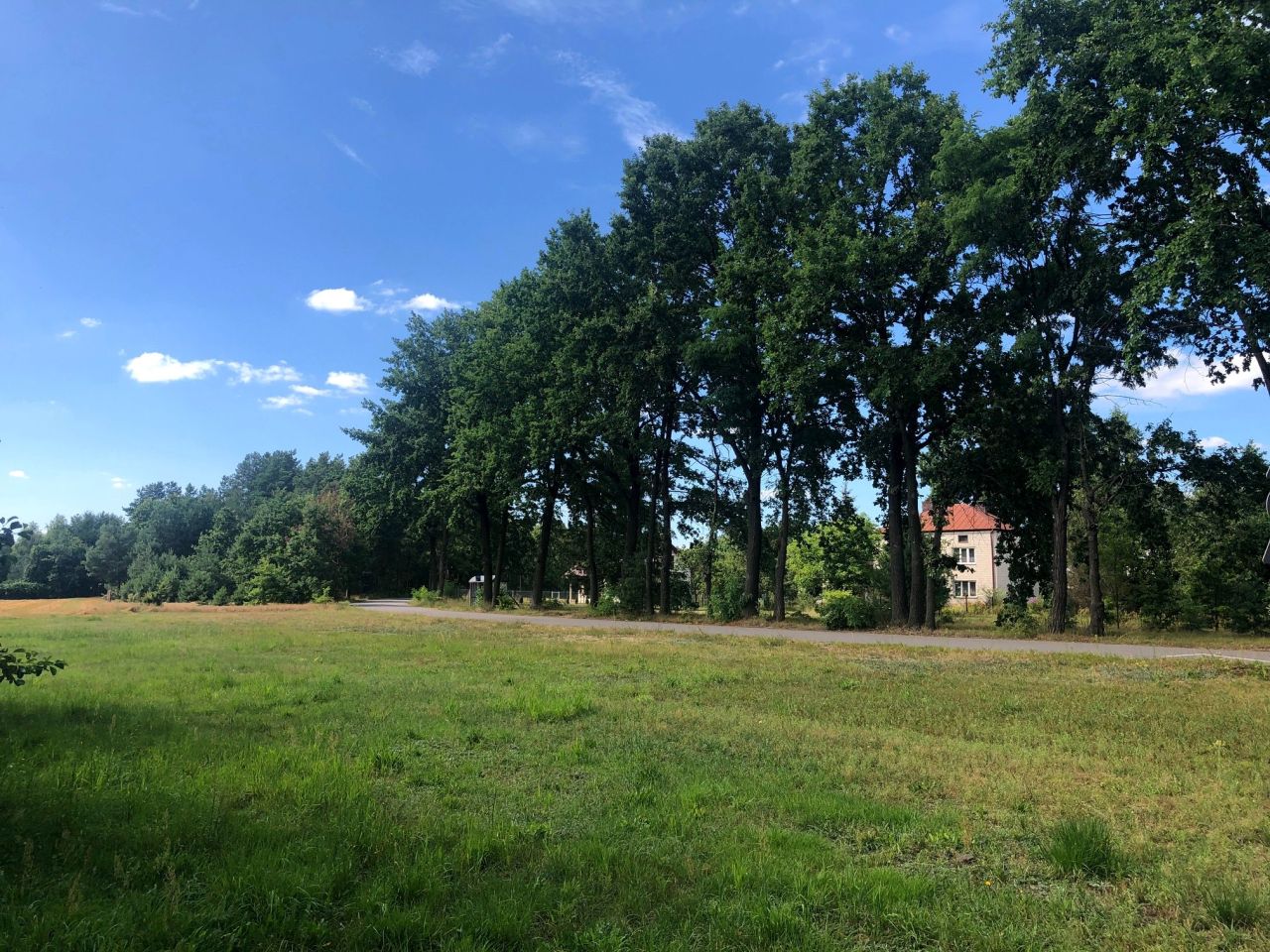 Działka budowlana Zalesie. Zdjęcie 10