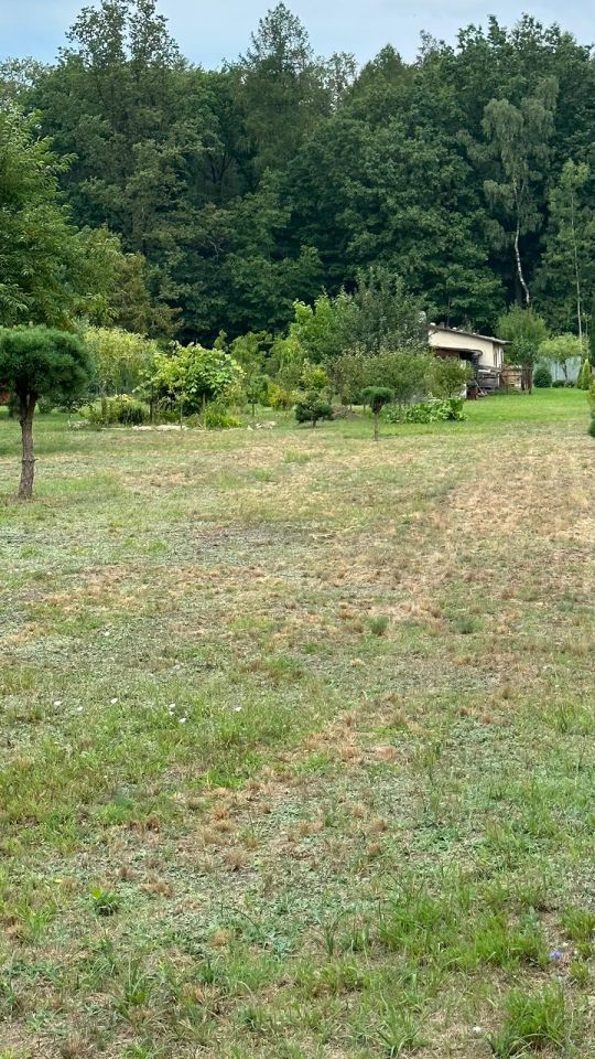 Działka budowlana Świerczyna. Zdjęcie 16