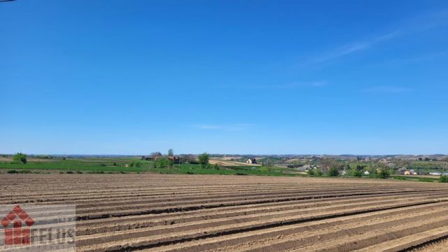 Działka budowlana Proszowice. Zdjęcie 4