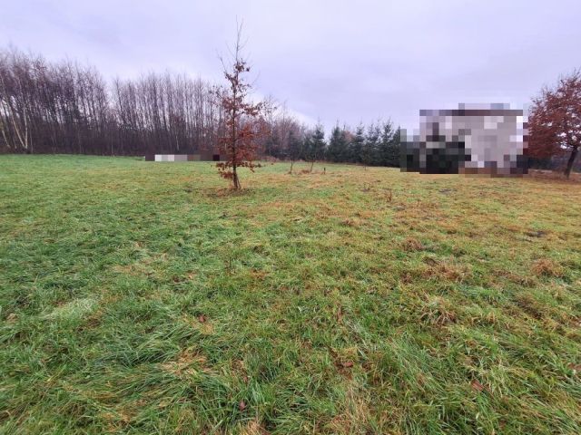 Działka budowlana Zaborów. Zdjęcie 7