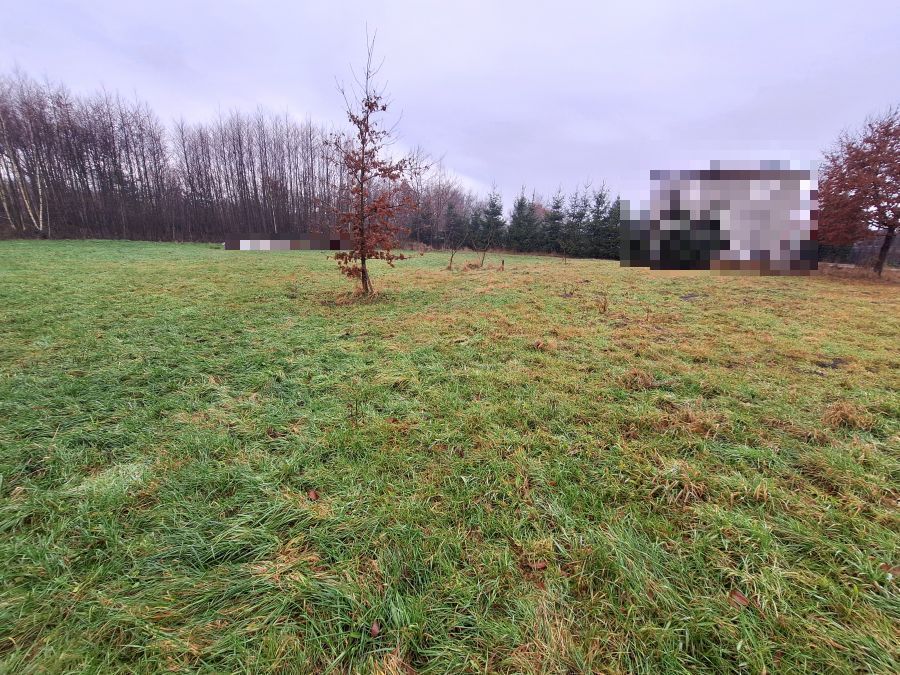 Działka budowlana Zaborów. Zdjęcie 7