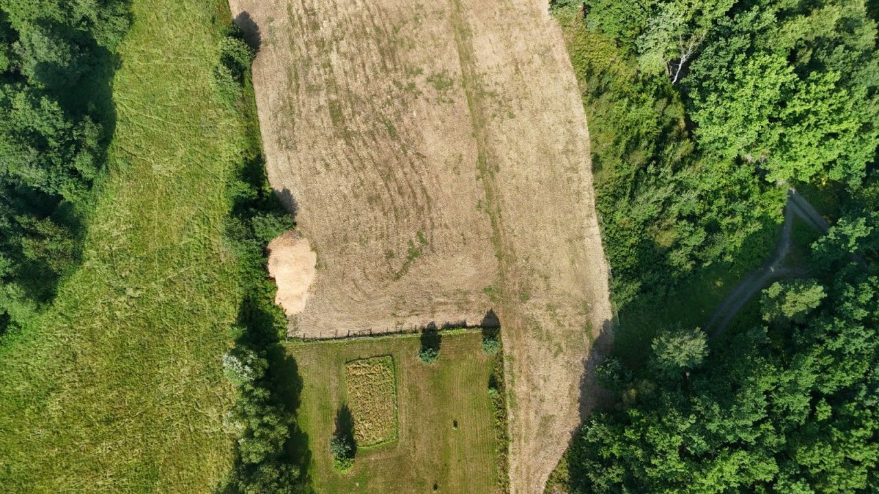 Działka siedliskowa Nowa Wieś Wielka. Zdjęcie 7
