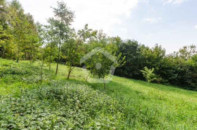 dom wolnostojący, 4 pokoje Kielnarowa. Zdjęcie 12