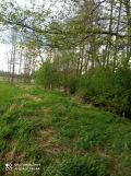 Działka leśna Niedrzwica Duża. Zdjęcie 2