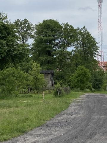 Działka siedliskowa Rzesznikowo. Zdjęcie 1