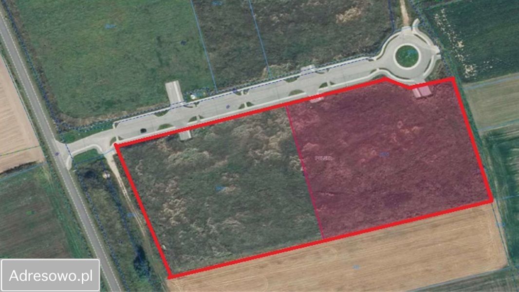 Działka inwestycyjna Pasieczna. Zdjęcie 4