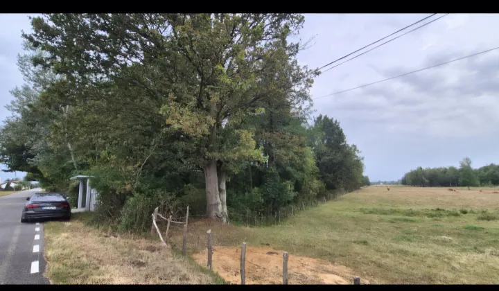 Działka rolna Secymin Polski