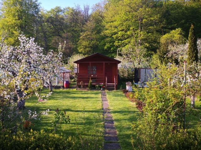 Działka rod Sopot Sopot Górny, ul. Mikołaja Reja. Zdjęcie 1