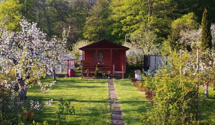 Działka rod Sopot Sopot Górny, ul. Mikołaja Reja