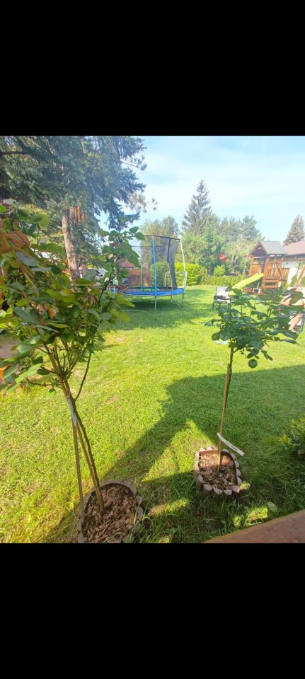 dom letniskowy, 3 pokoje Kamieńczyk, ul. Kukawska. Zdjęcie 12