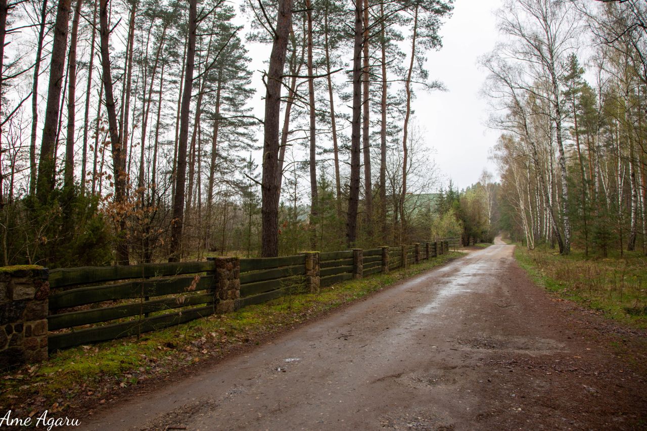 Działka budowlana Marózek. Zdjęcie 10