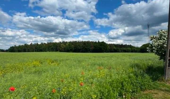 Działka budowlana Sucumin