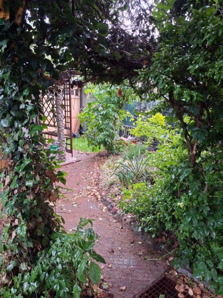 Działka rod Kościan. Zdjęcie 3