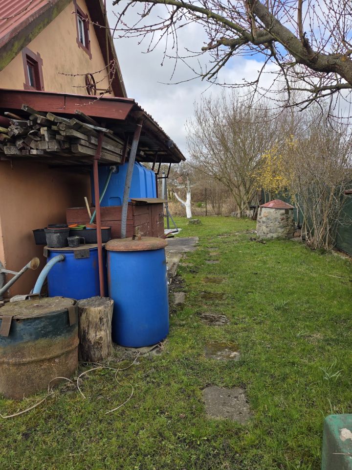 Działka rekreacyjna Chojna, ul. Wilsona. Zdjęcie 5