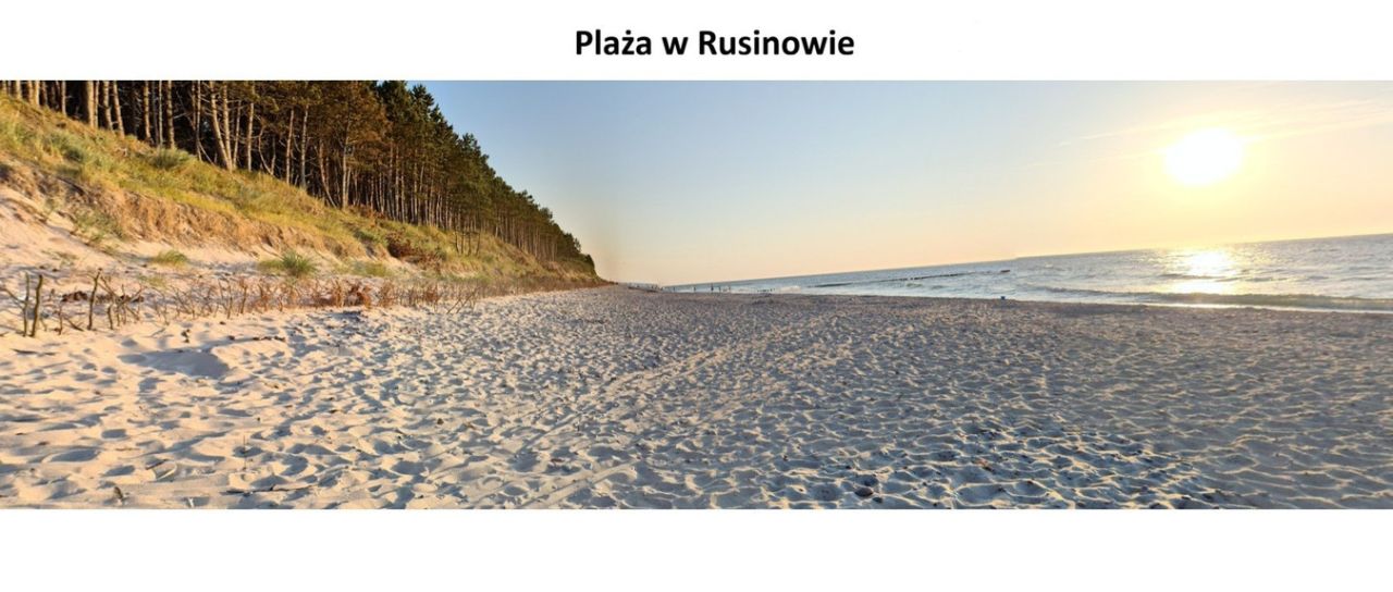 Działka budowlana Rusinowo, ul. Bazyliszka. Zdjęcie 11