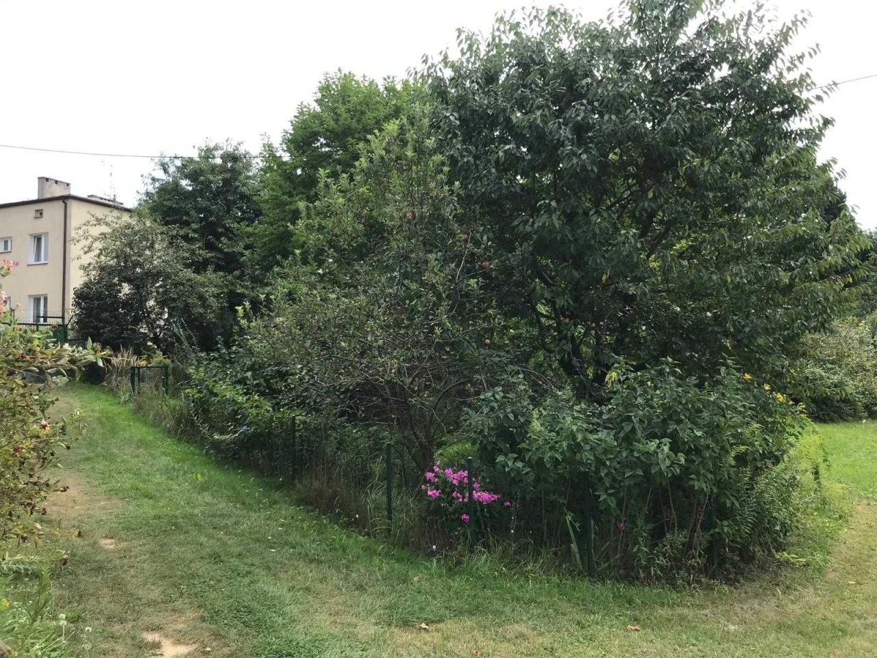 Działka rod Lublin Węglin. Zdjęcie 2