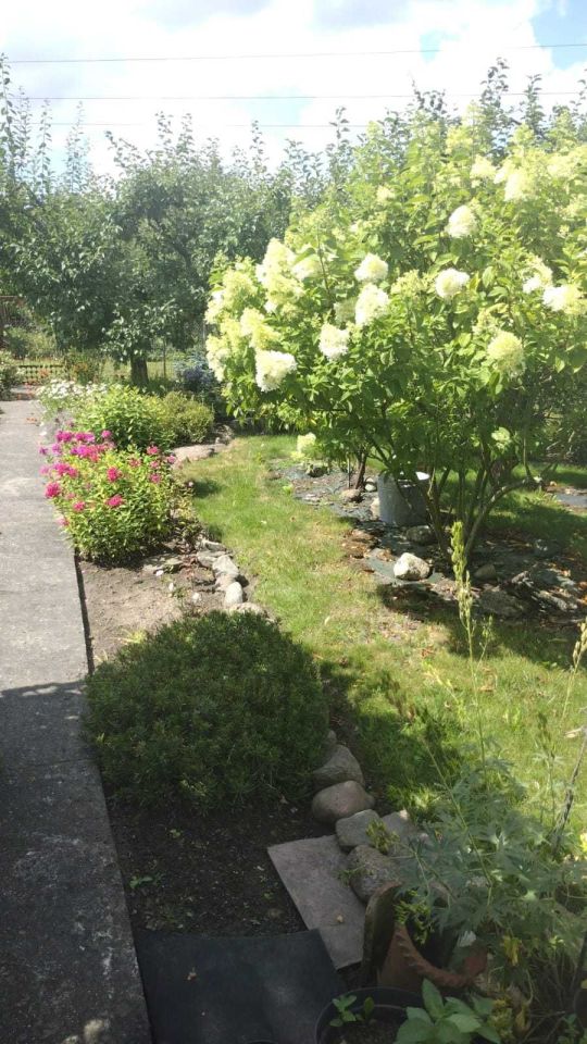 Działka rod Gniezno, ul. Kłeckoska. Zdjęcie 7